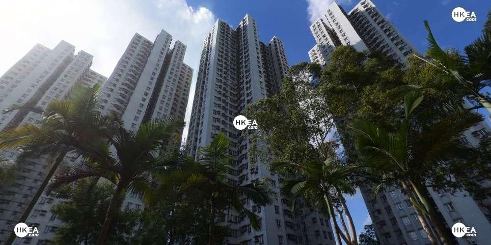 粉嶺 榮輝中心