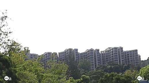 大埔半山 大埔寶馬山