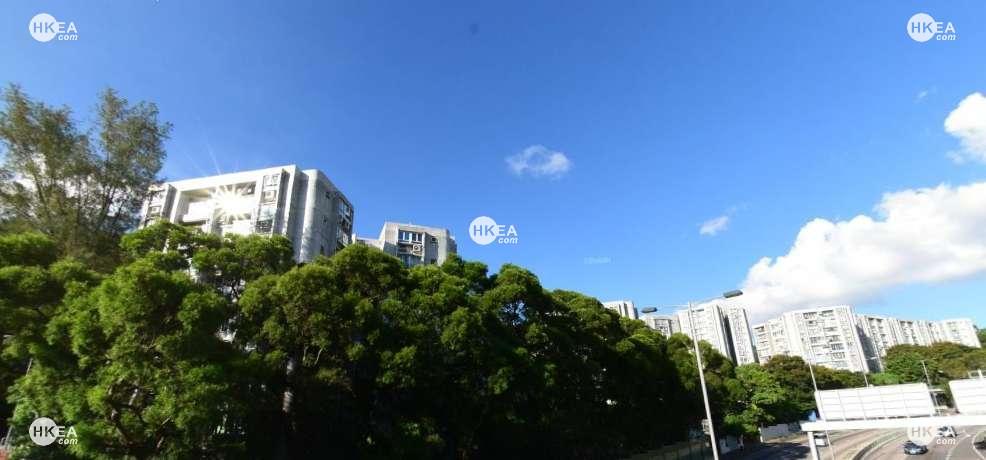 畢架山 畢架山花園